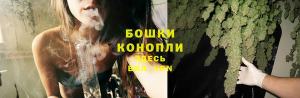 шишки Балабаново