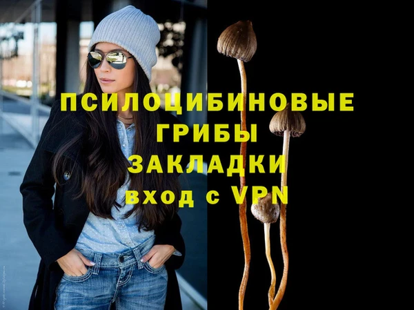 шишки Балабаново