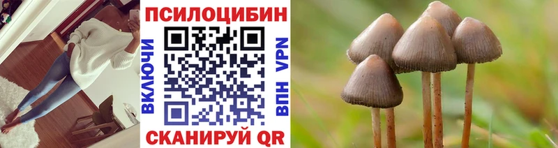 Галлюциногенные грибы Psilocybe  Ханты-Мансийск 